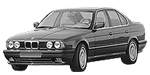 BMW E34 P20FE Fault Code