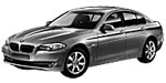 BMW F10 P20FE Fault Code